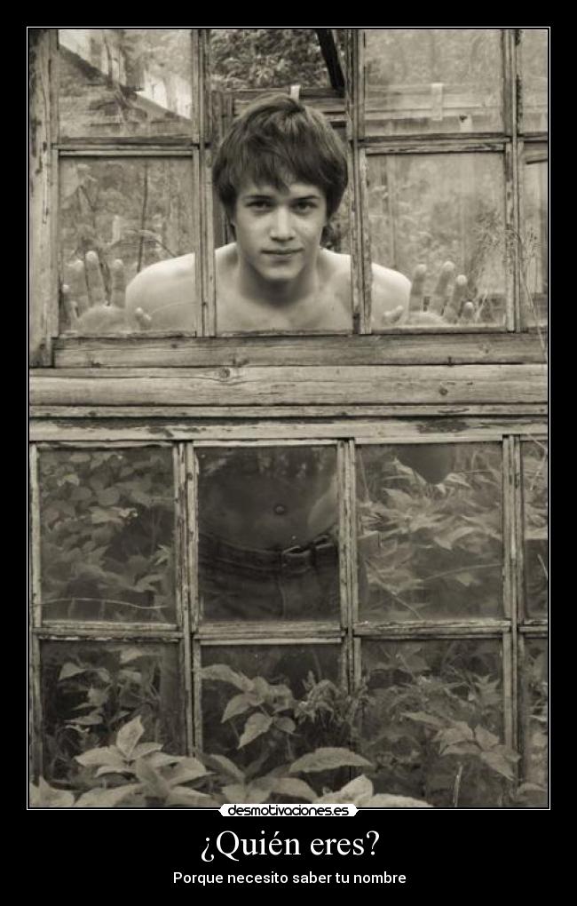 carteles greenbird desmotivaciones