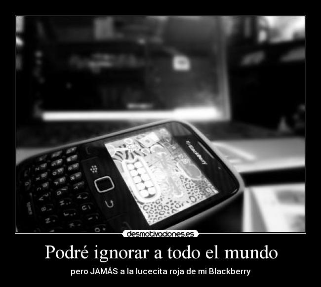 Podré ignorar a todo el mundo -
