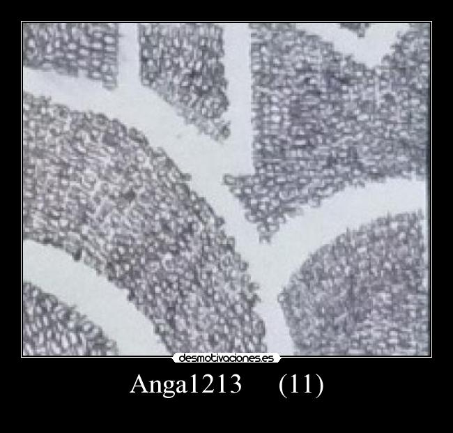 carteles anga1213 truluru clandesplazado desmotivaciones