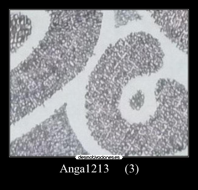 Anga1213     (3) - 