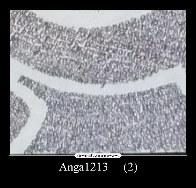Anga1213     (2) - 
