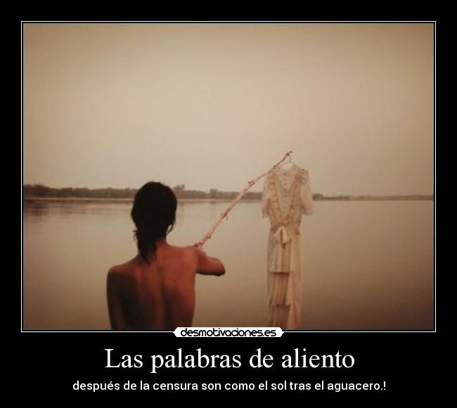 carteles dolor desmotivaciones