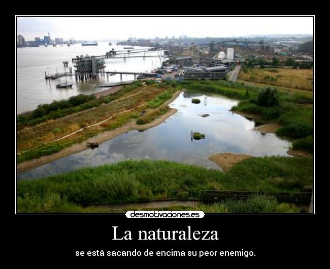 La naturaleza - se está sacando de encima su peor enemigo.