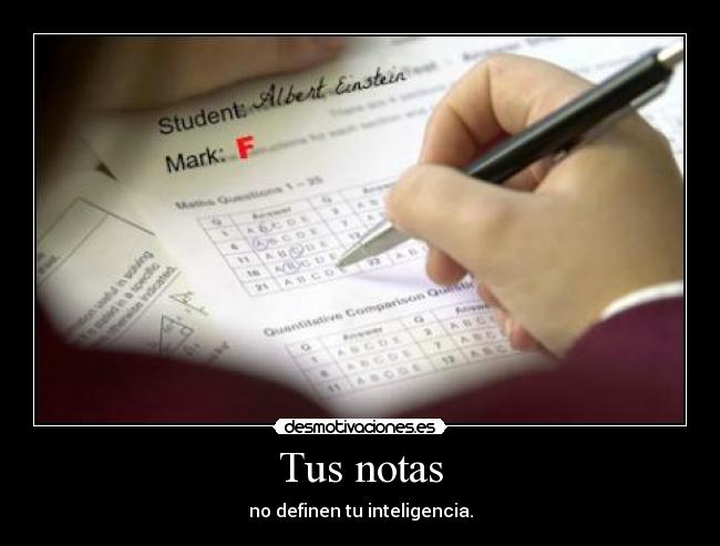 Tus notas -