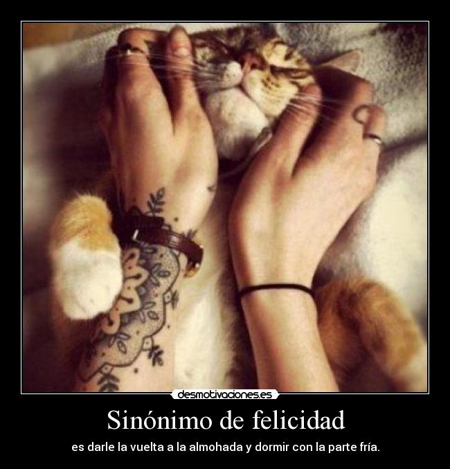 carteles felicidad 8954487386447descifraa desmotivaciones