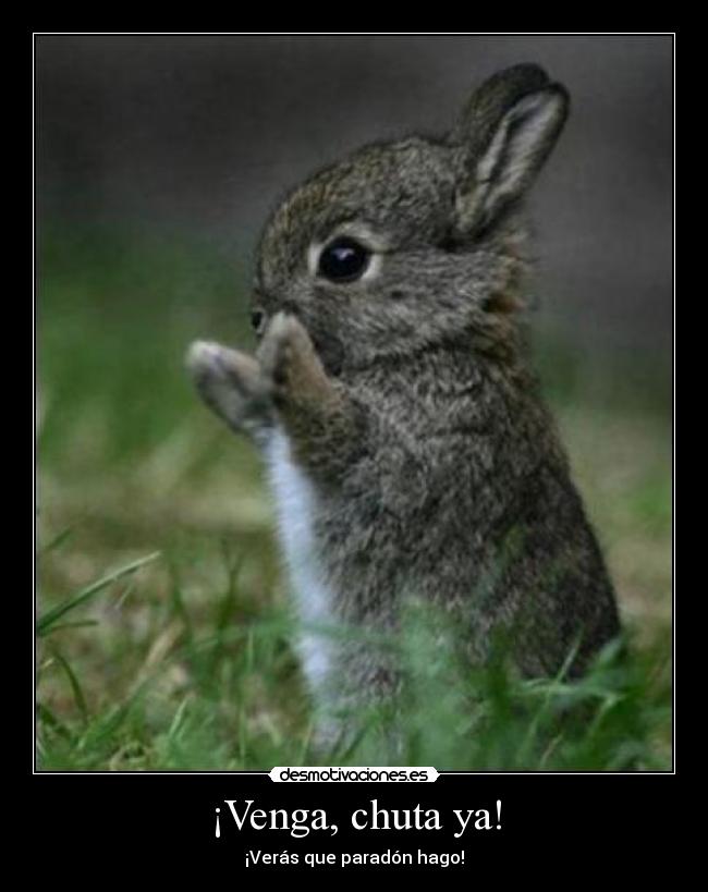 ¡Venga, chuta ya! - ¡Verás que paradón hago!