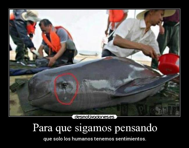 Para que sigamos pensando - 