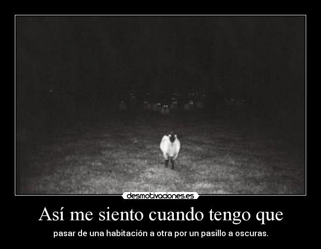 Así me siento cuando tengo que -