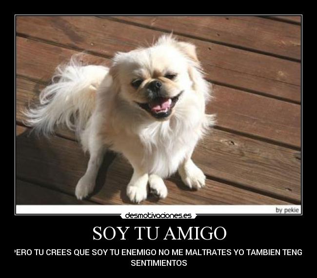 SOY TU AMIGO - 