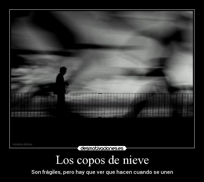 Los copos de nieve - Son frágiles, pero hay que ver que hacen cuando se unen