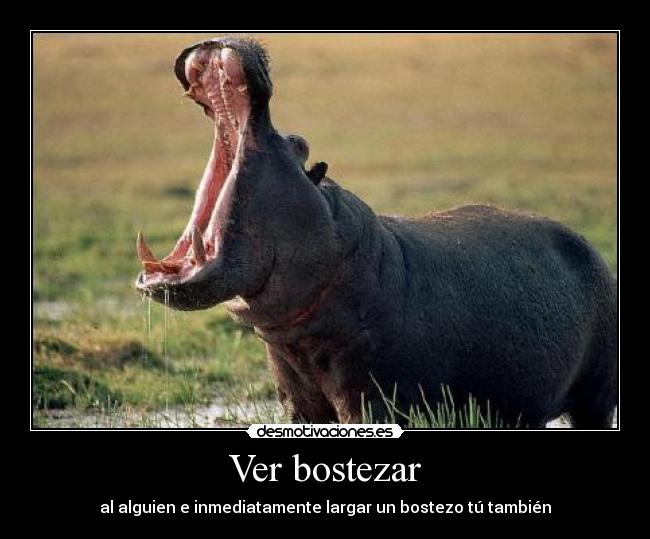 Ver bostezar - al alguien e inmediatamente largar un bostezo tú también