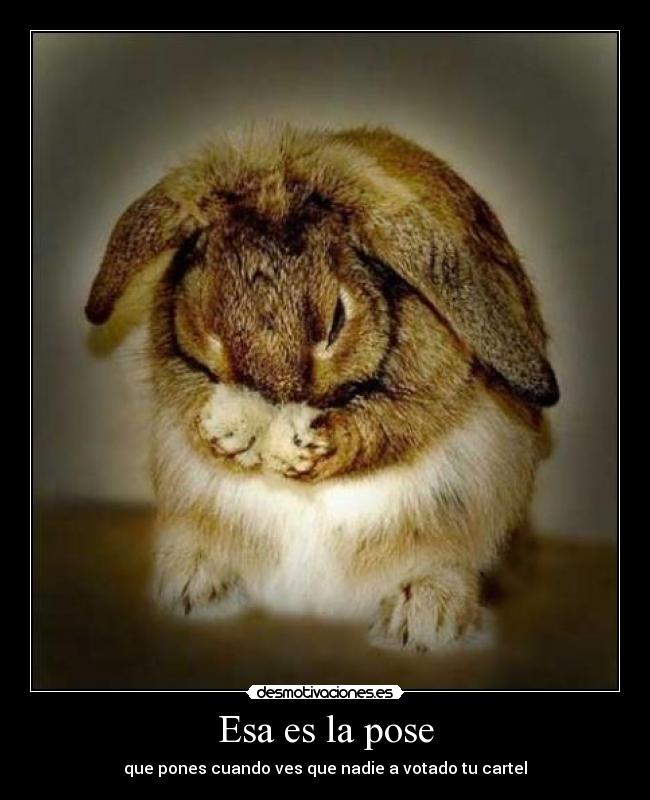 Esa es la pose - que pones cuando ves que nadie a votado tu cartel
