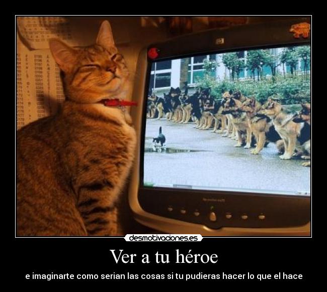 Ver a tu héroe - 