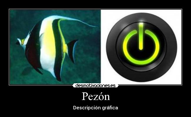 Pezón - 