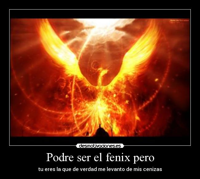Podre ser el fenix pero - tu eres la que de verdad me levanto de mis cenizas
