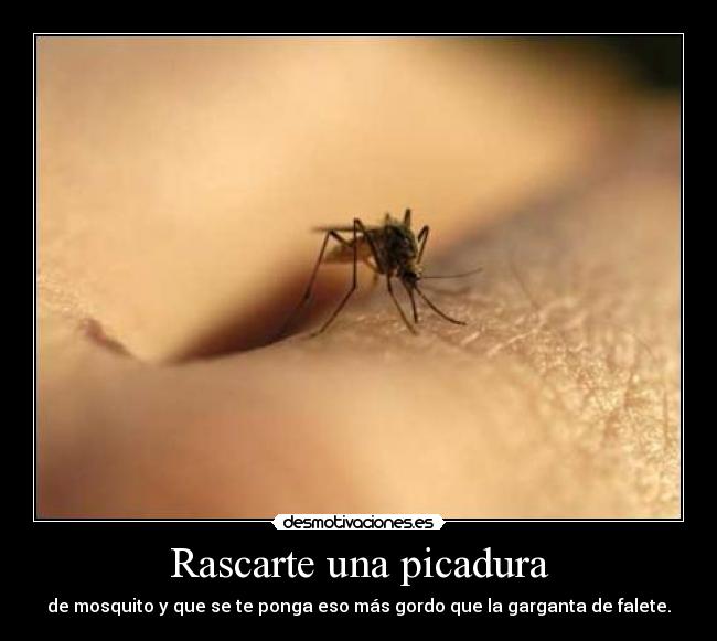 Rascarte una picadura - 