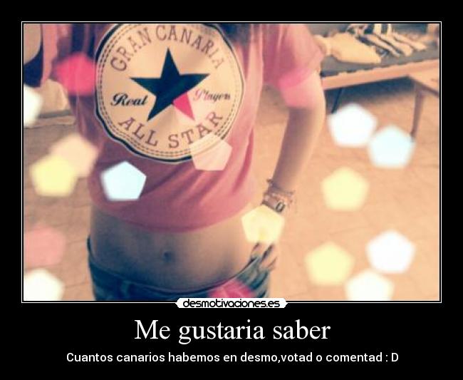 carteles canarios desmotivaciones