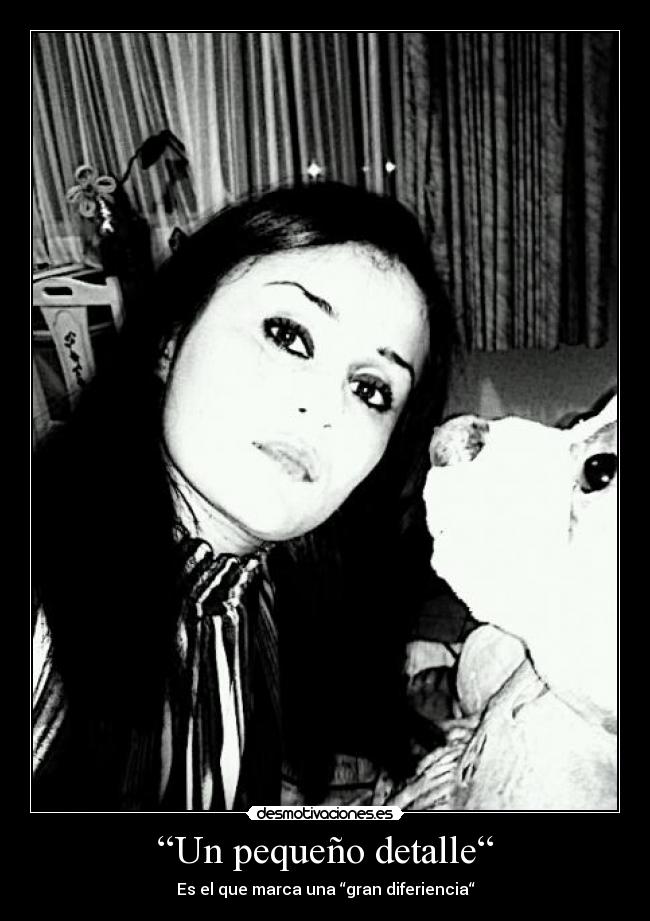 carteles detalle desmotivaciones