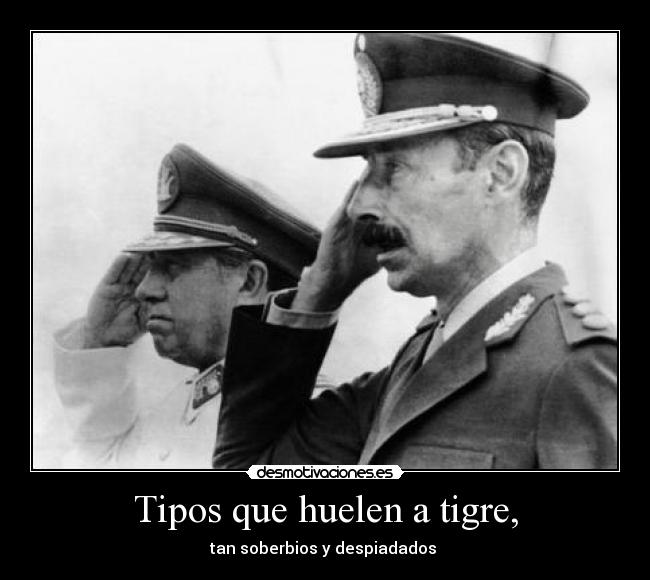 carteles rock nacional patricio rey sus redonditos ricota skay bellinson indio solari videla pinochet desmotivaciones