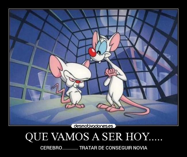 QUE VAMOS A SER HOY..... - 