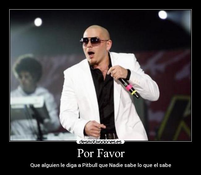Por Favor - Que alguien le diga a Pitbull que Nadie sabe lo que el sabe