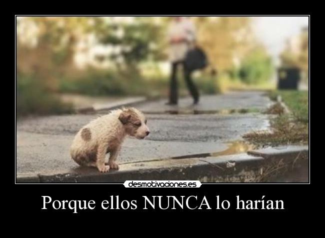 Porque ellos NUNCA lo harían -