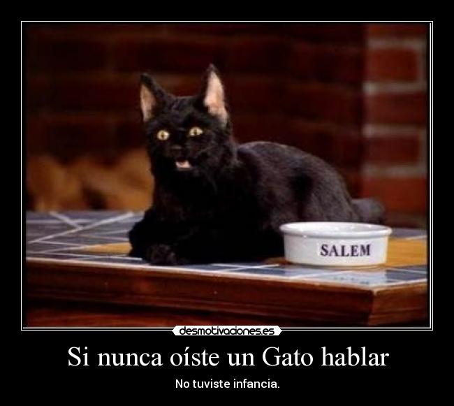 Si nunca oíste un Gato hablar - No tuviste infancia.