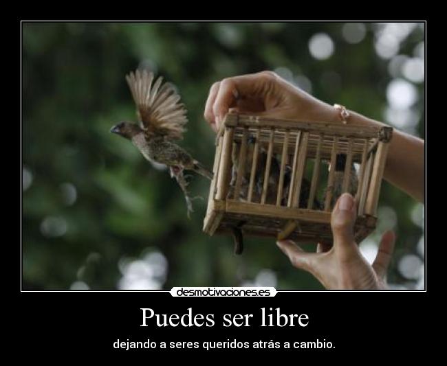 Puedes ser libre - 