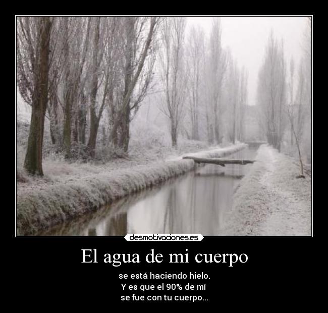 El agua de mi cuerpo -