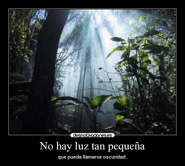 No hay luz tan pequeña - que pueda llamarse oscuridad .