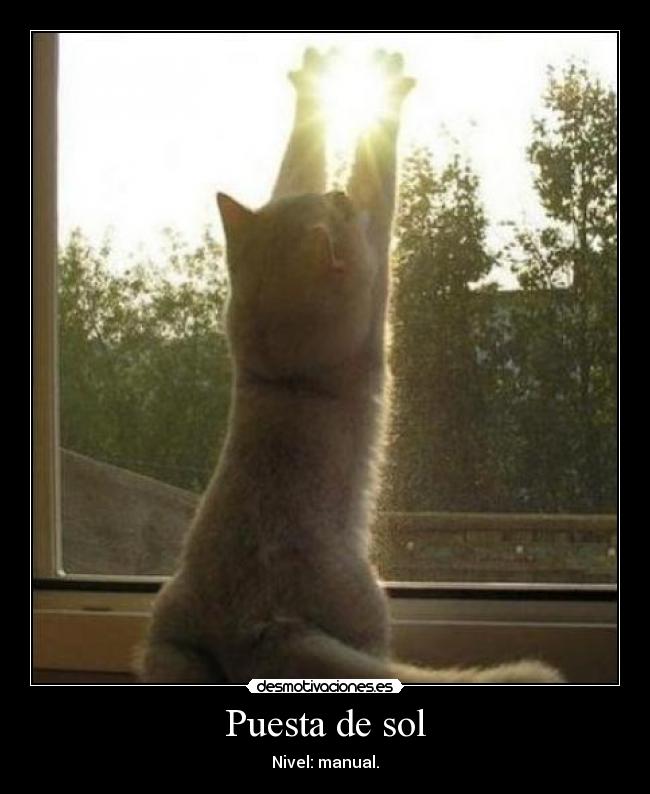 carteles que malo lol desmotivaciones