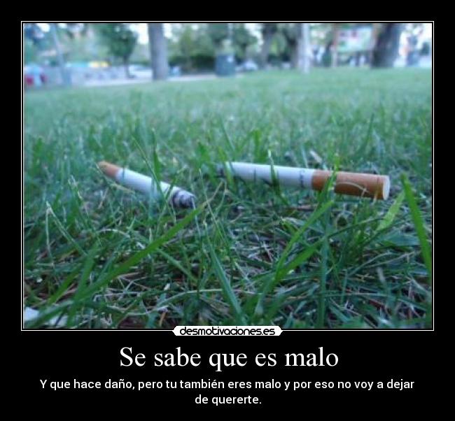 carteles querterte desmotivaciones