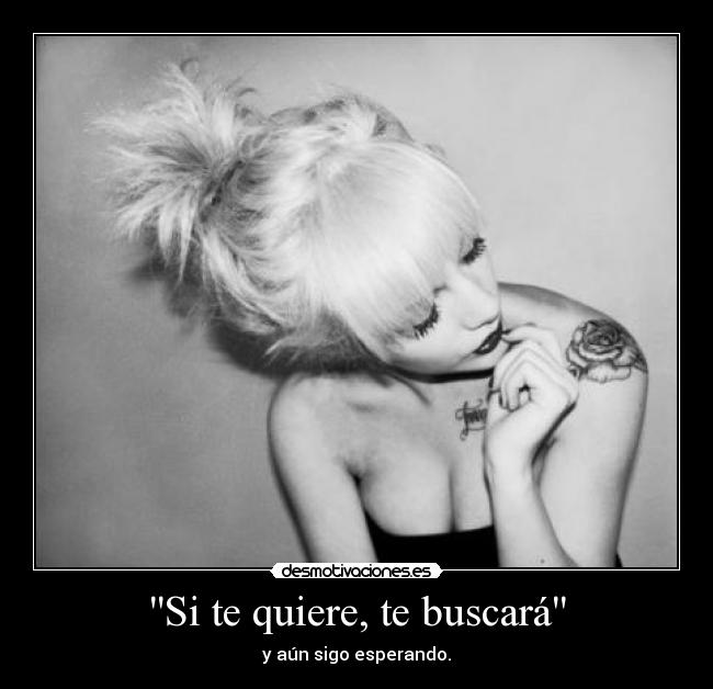 carteles quiere desmotivaciones