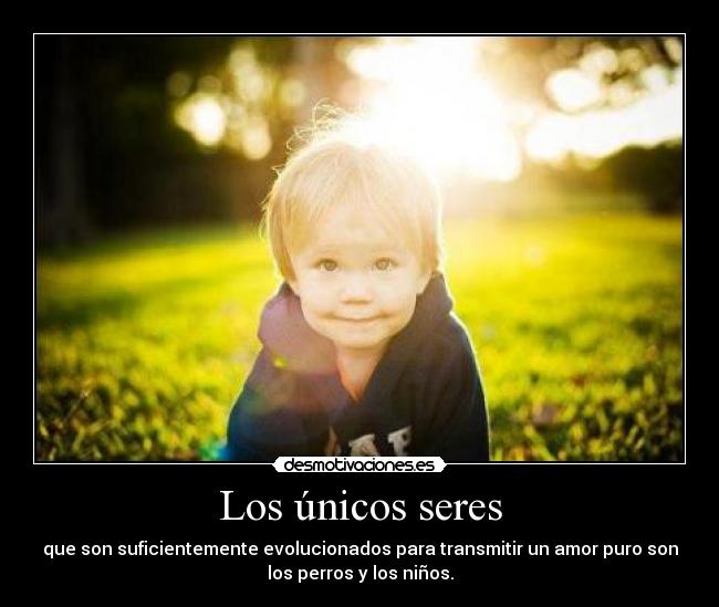 Los únicos seres - que son suficientemente evolucionados para transmitir un amor puro son
los perros y los niños.