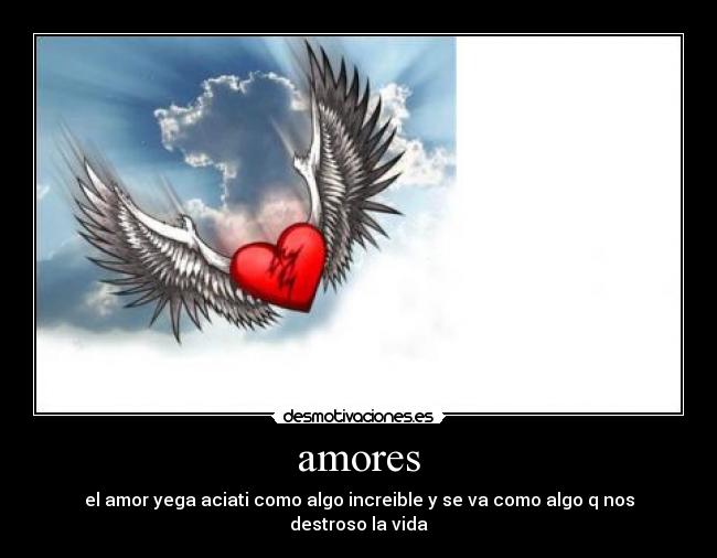 amores -