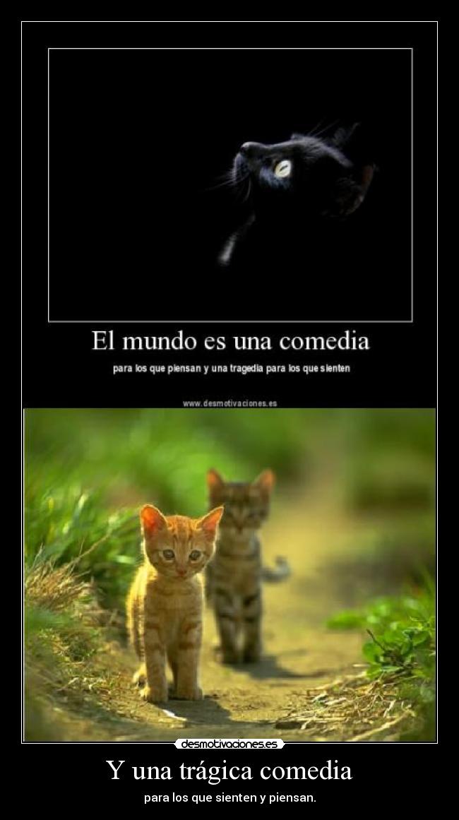 Y una trágica comedia - para los que sienten y piensan.