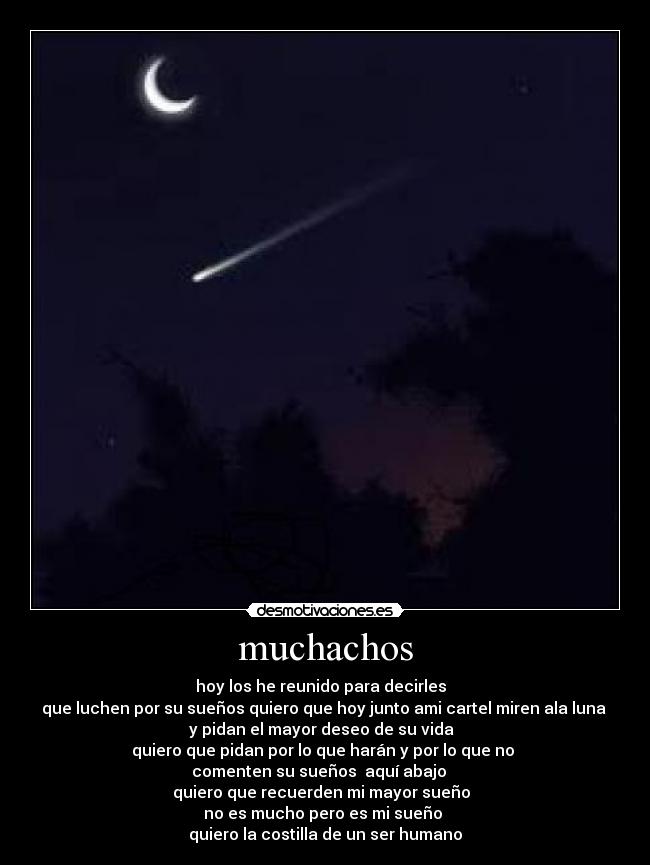 muchachos - 