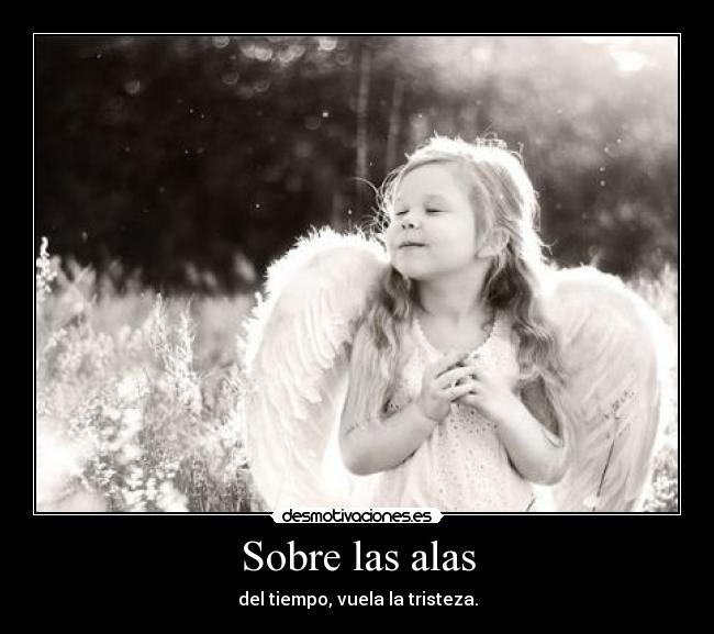 Sobre las alas - 
