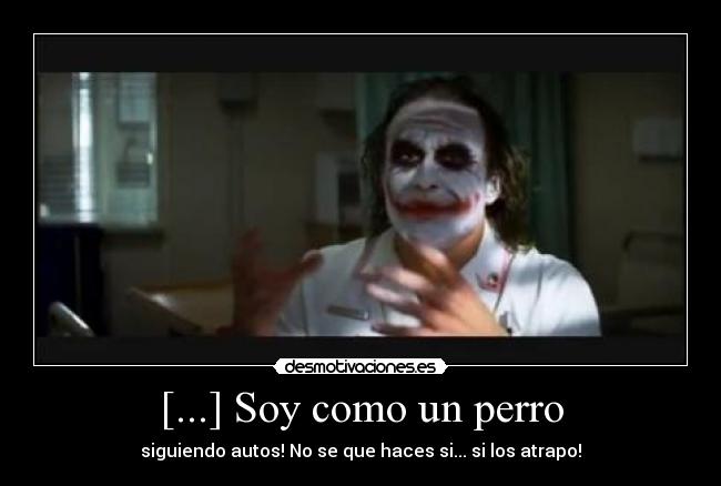 [...] Soy como un perro - siguiendo autos! No se que haces si... si los atrapo!