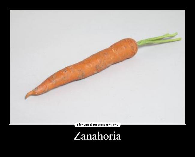 Zanahoria -