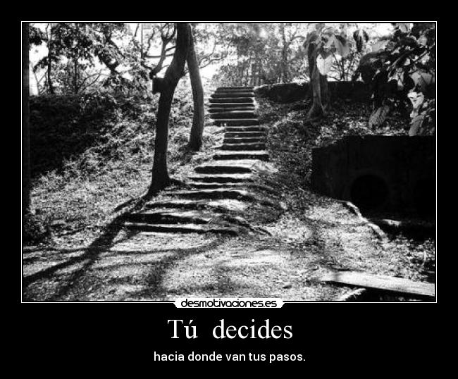 Tú  decides - 