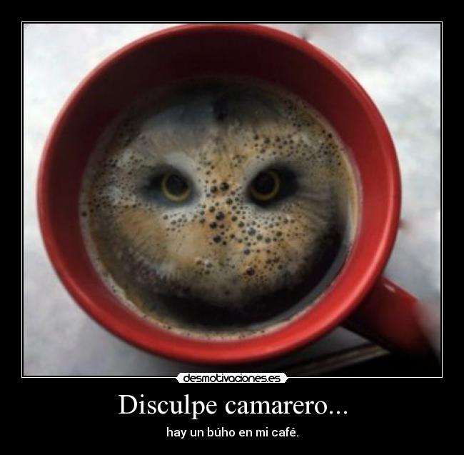 Disculpe camarero... -