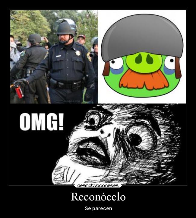 Reconócelo - Se parecen