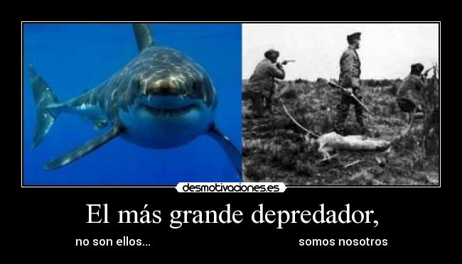 El más grande depredador, -