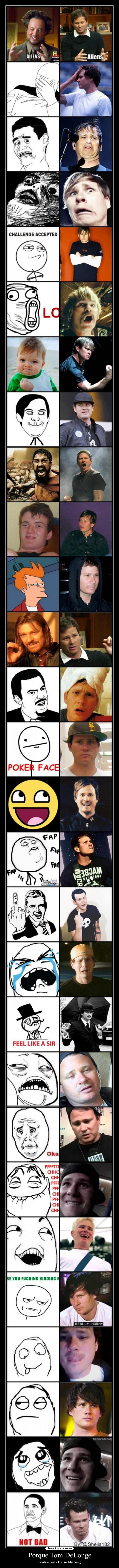 Porque Tom DeLonge - Tambien esta En Los Memes ;)