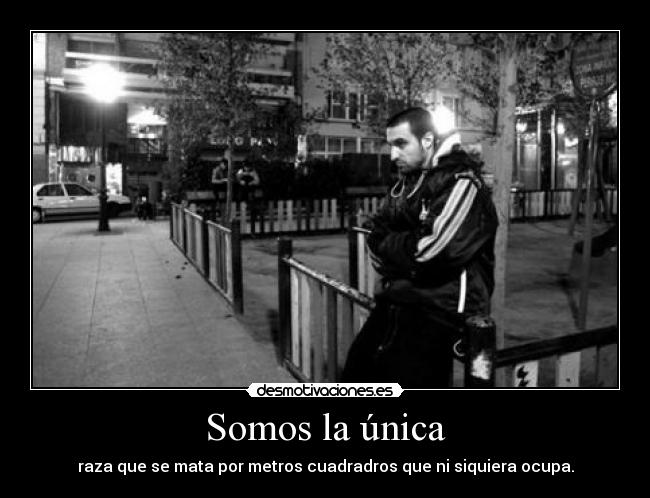 Somos la única - raza que se mata por metros cuadradros que ni siquiera ocupa.