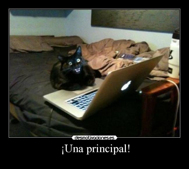 ¡Una principal! - 