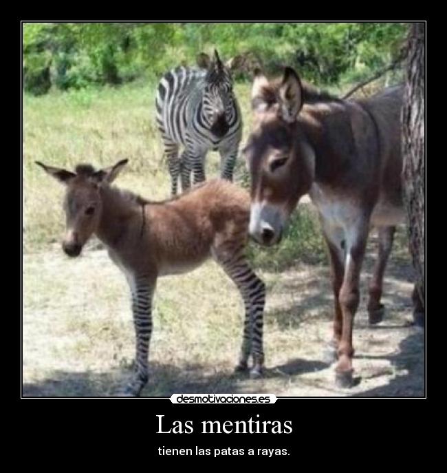 Las mentiras - tienen las patas a rayas.