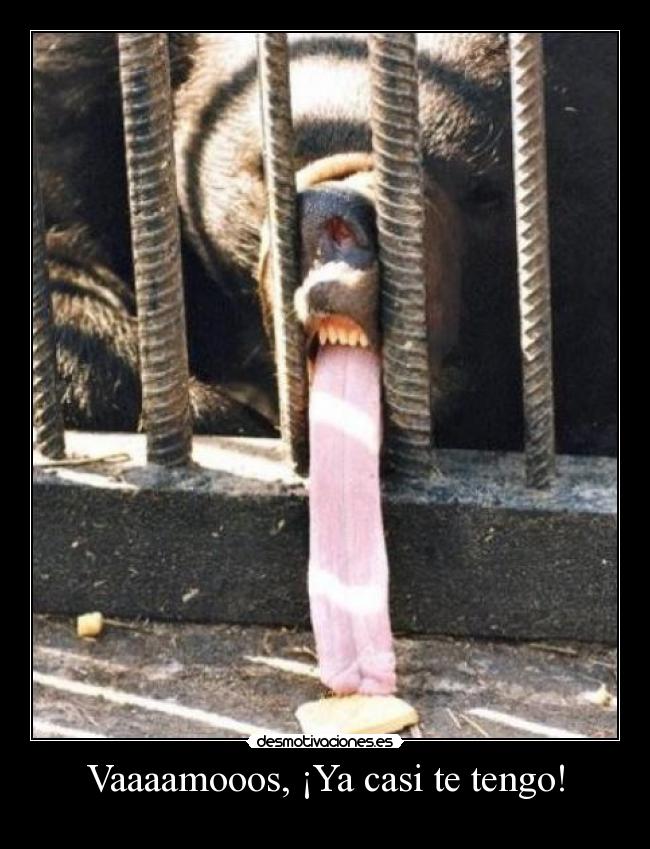 Vaaaamooos, ¡Ya casi te tengo! - 