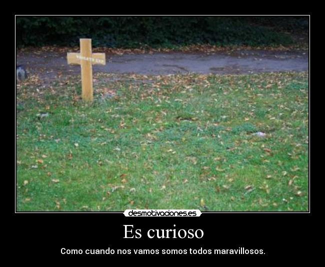 Es curioso - Como cuando nos vamos somos todos maravillosos.